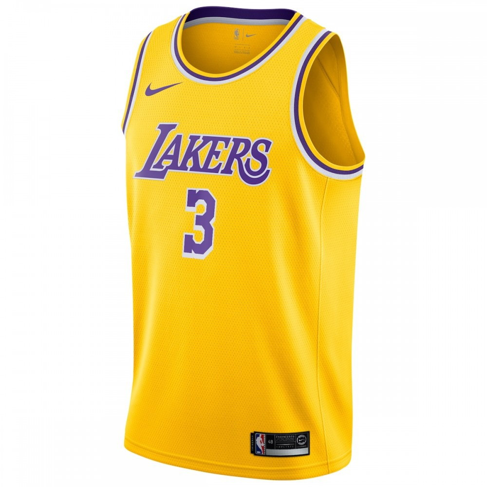 Anthony Davis Los Angeles Lakers 2019/20 Swingman Jersey Gold Icon Edition - second front view