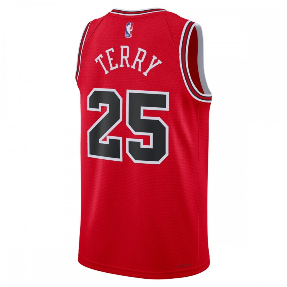 Dalen Terry Chicago Bulls Unisex 2022 NBA Draft First Round Pick Swingman Jersey Icon - back view