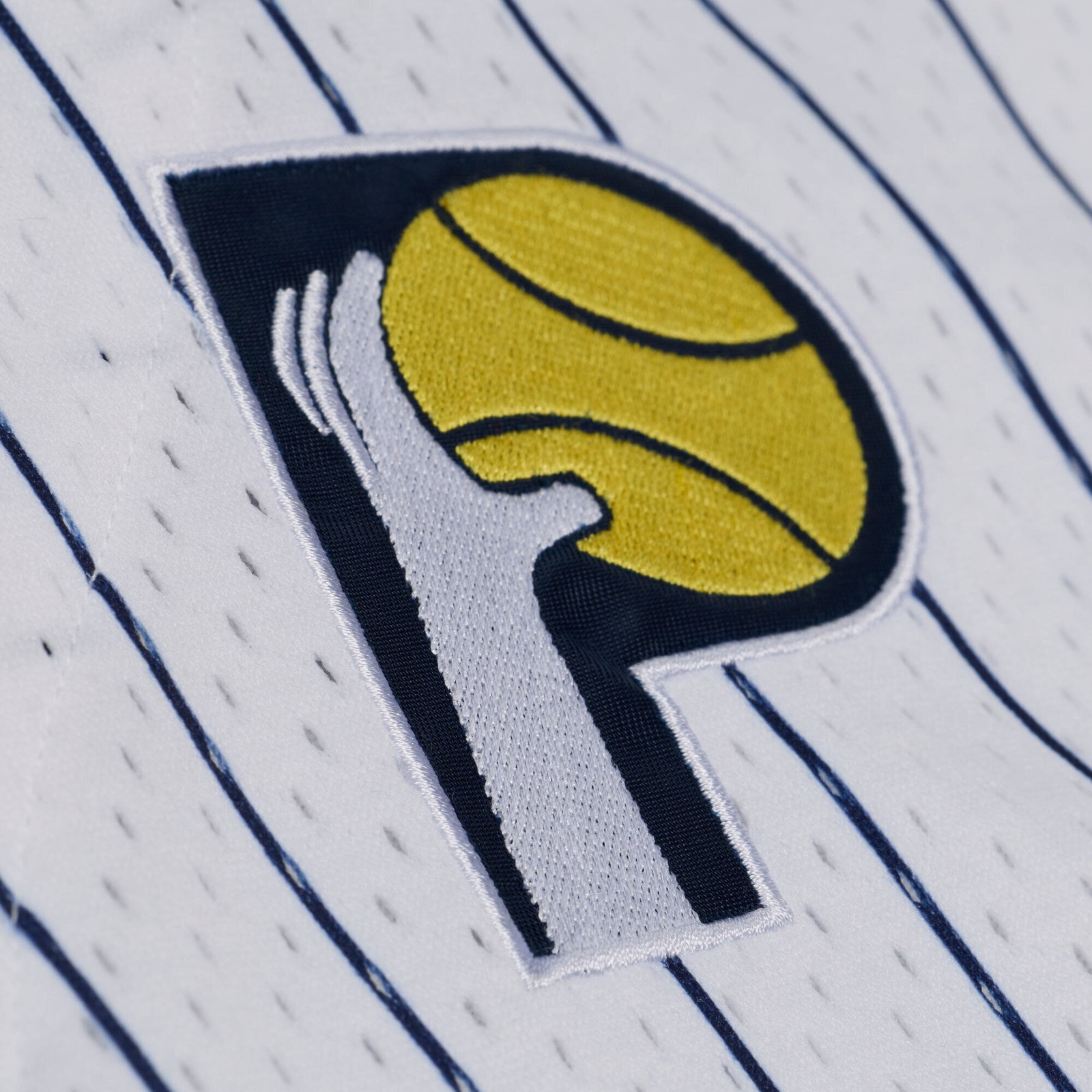 Indiana Pacers Head Coach Pinstripe Mesh Full-Button Baseball Jersey White - back view