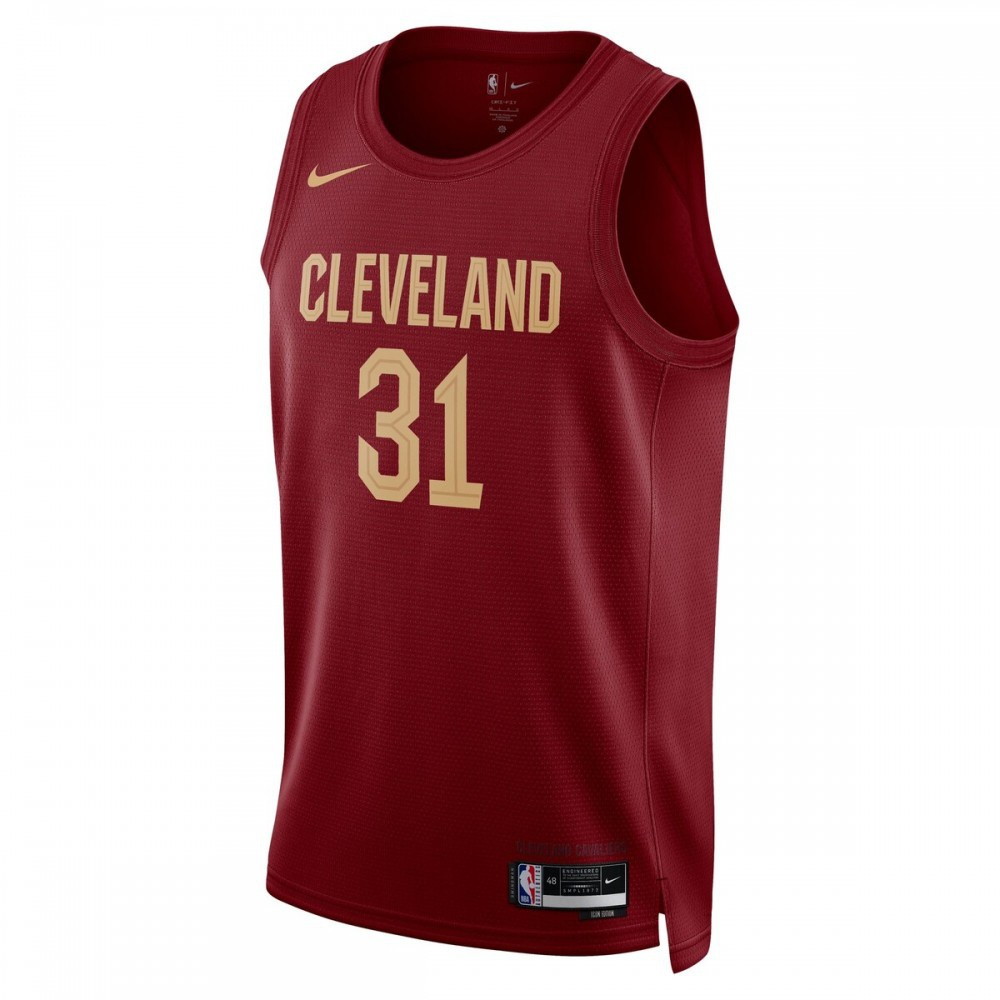 Jarrett Allen Cleveland Cavaliers 2022/23 Swingman Jersey Wine Icon Edition - second front view