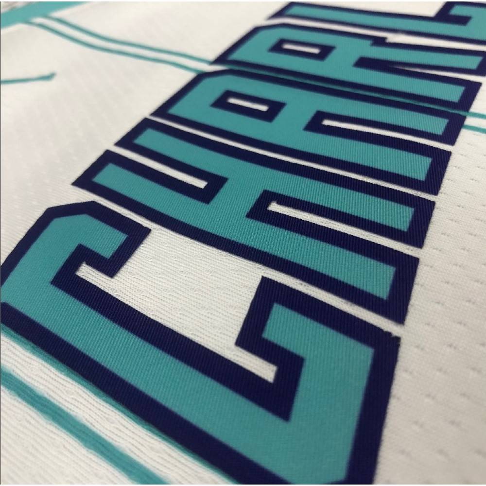 Men's Charlotte Hornets Hayward #20 White 20/21 Swingman Jersey Association - second front view