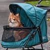 Why use a pet stroller