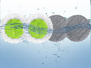 Washable Replacement Pad for Power Mop