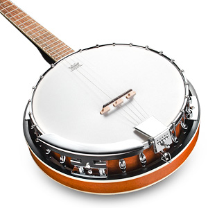 Banjo kit