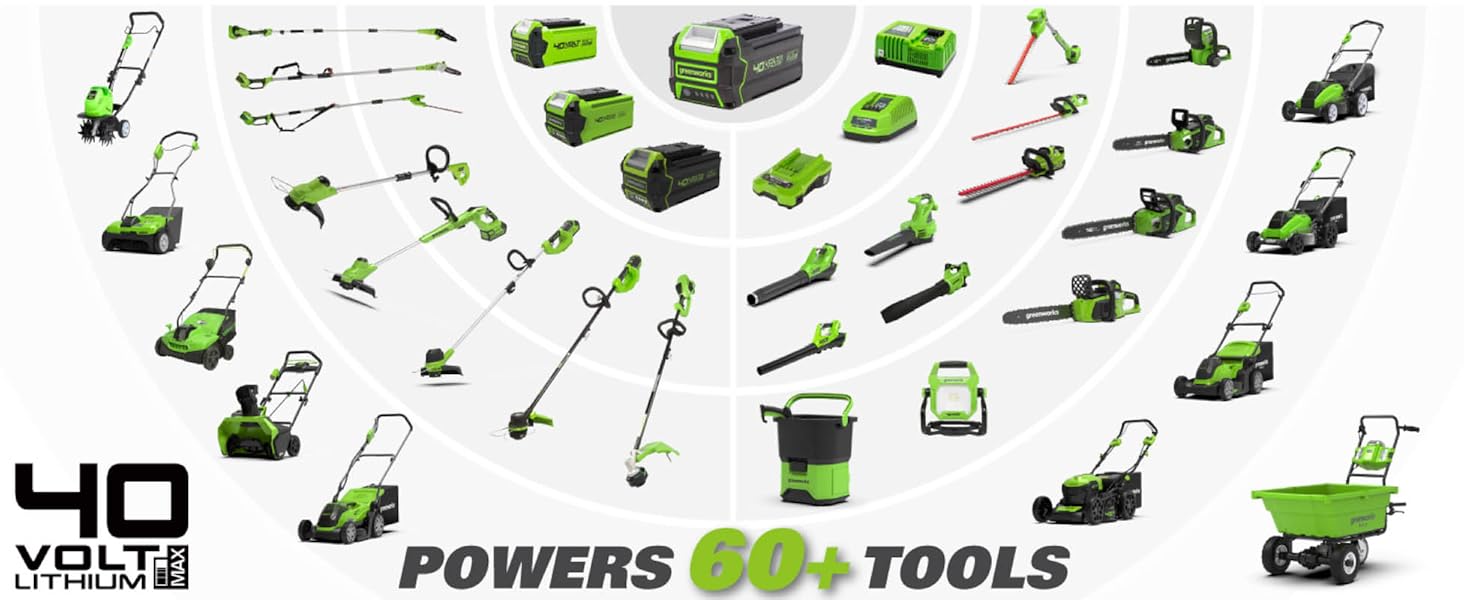 40v Family