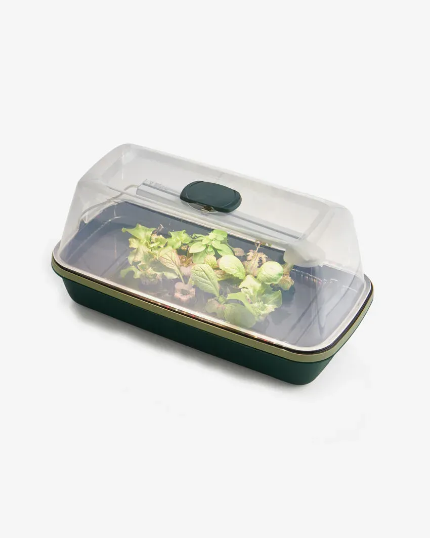 Mini-Gewächshaus Plus | Green-Edition | mit LED-Licht