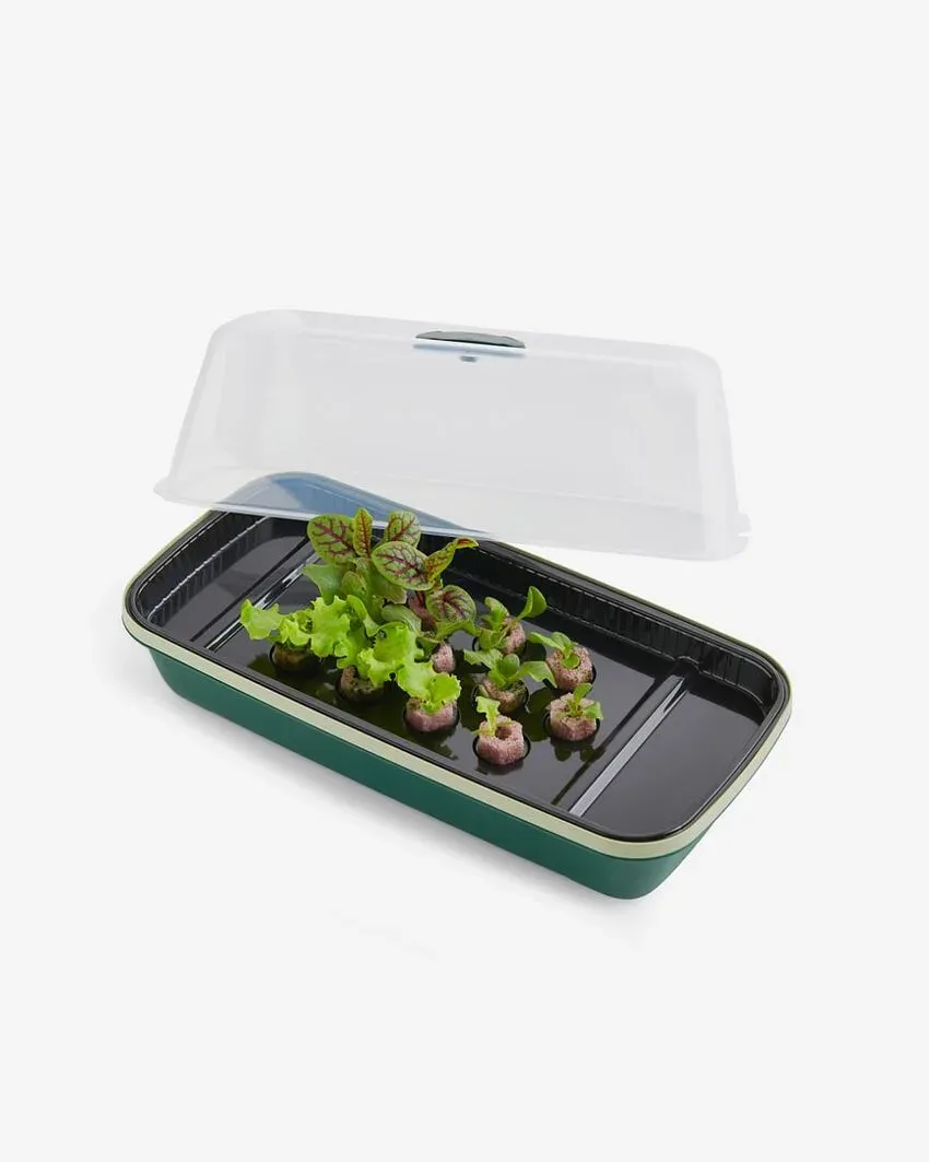 Mini-Gewächshaus Plus | Green-Edition | mit LED-Licht