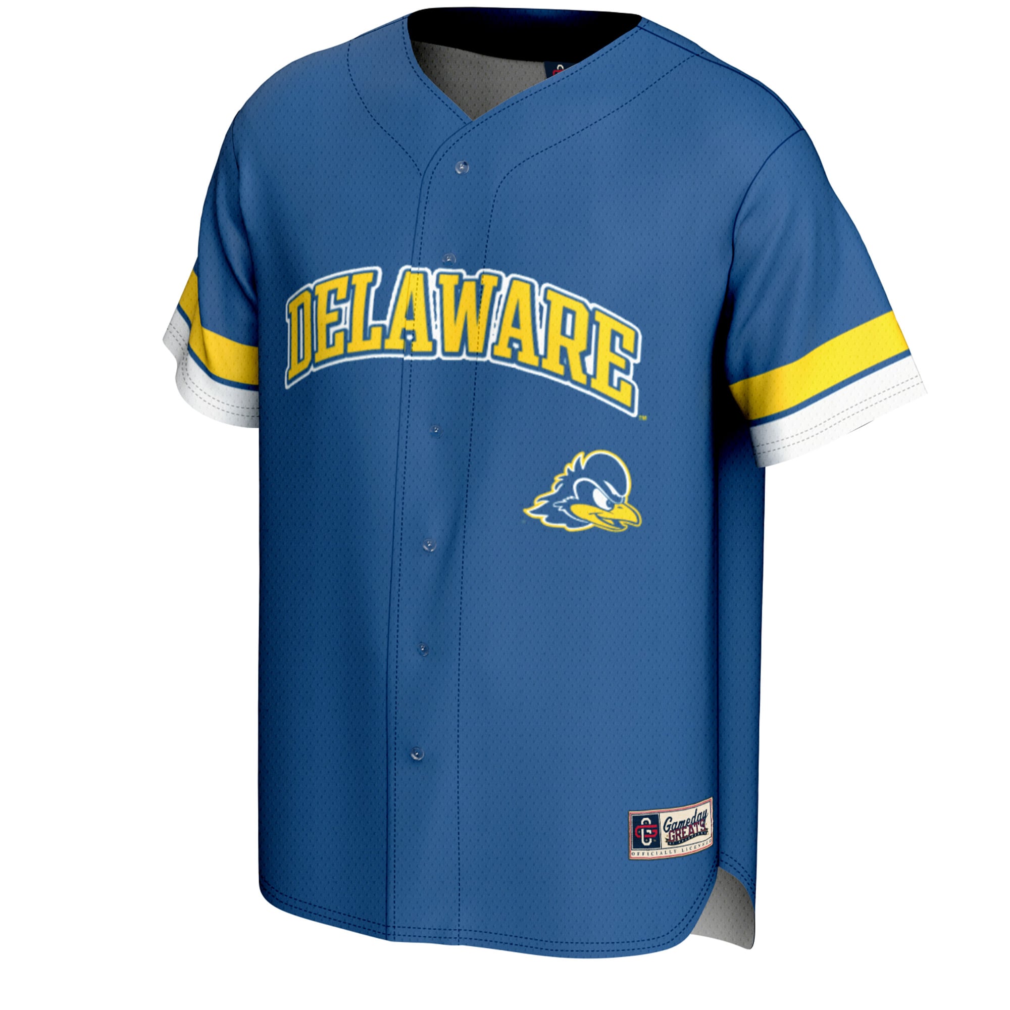 Delaware Fightin' Blue Hens Youth Spirit Baseball Jersey Royal - front view
