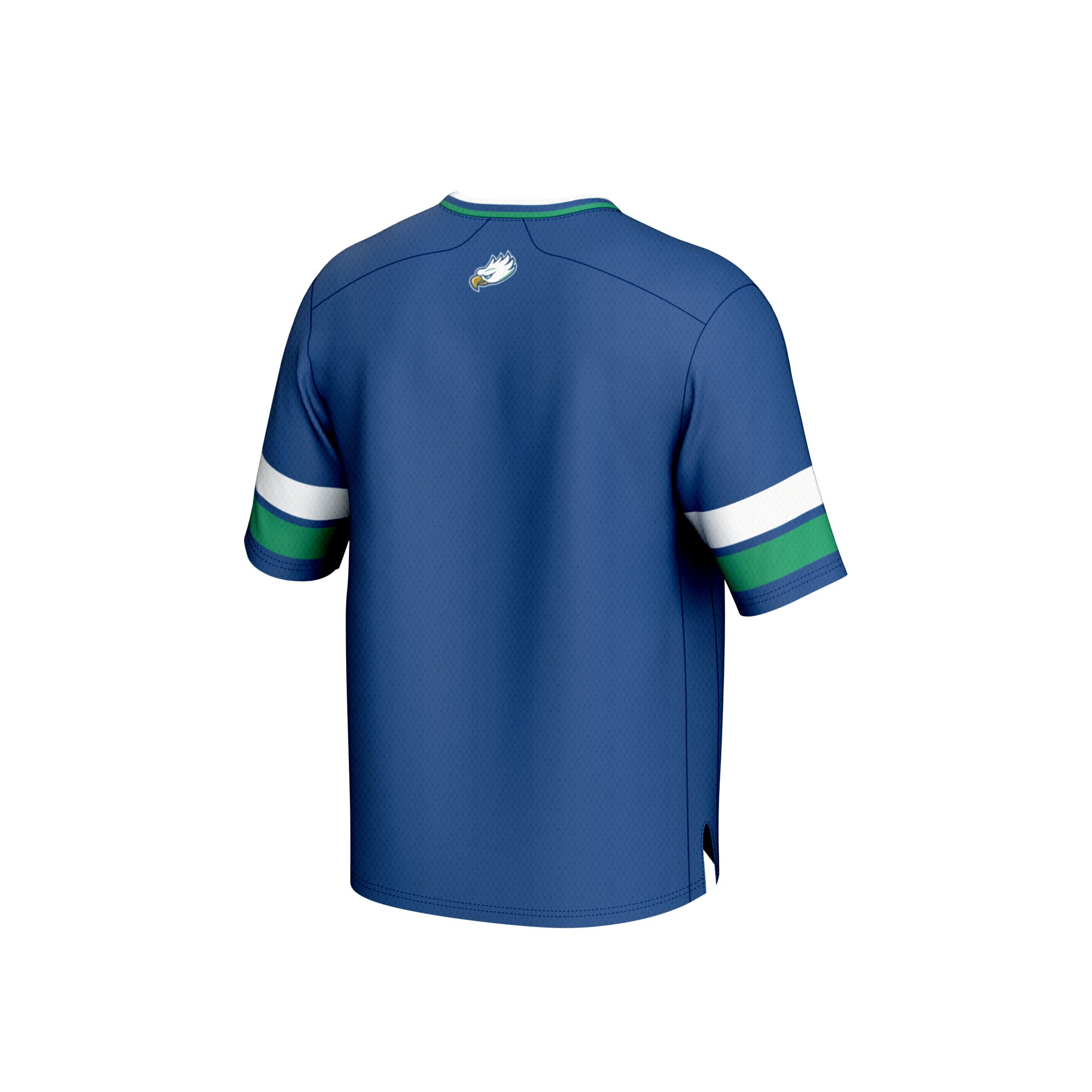 Florida Gulf Coast Eagles Football Jersey Blue - back view