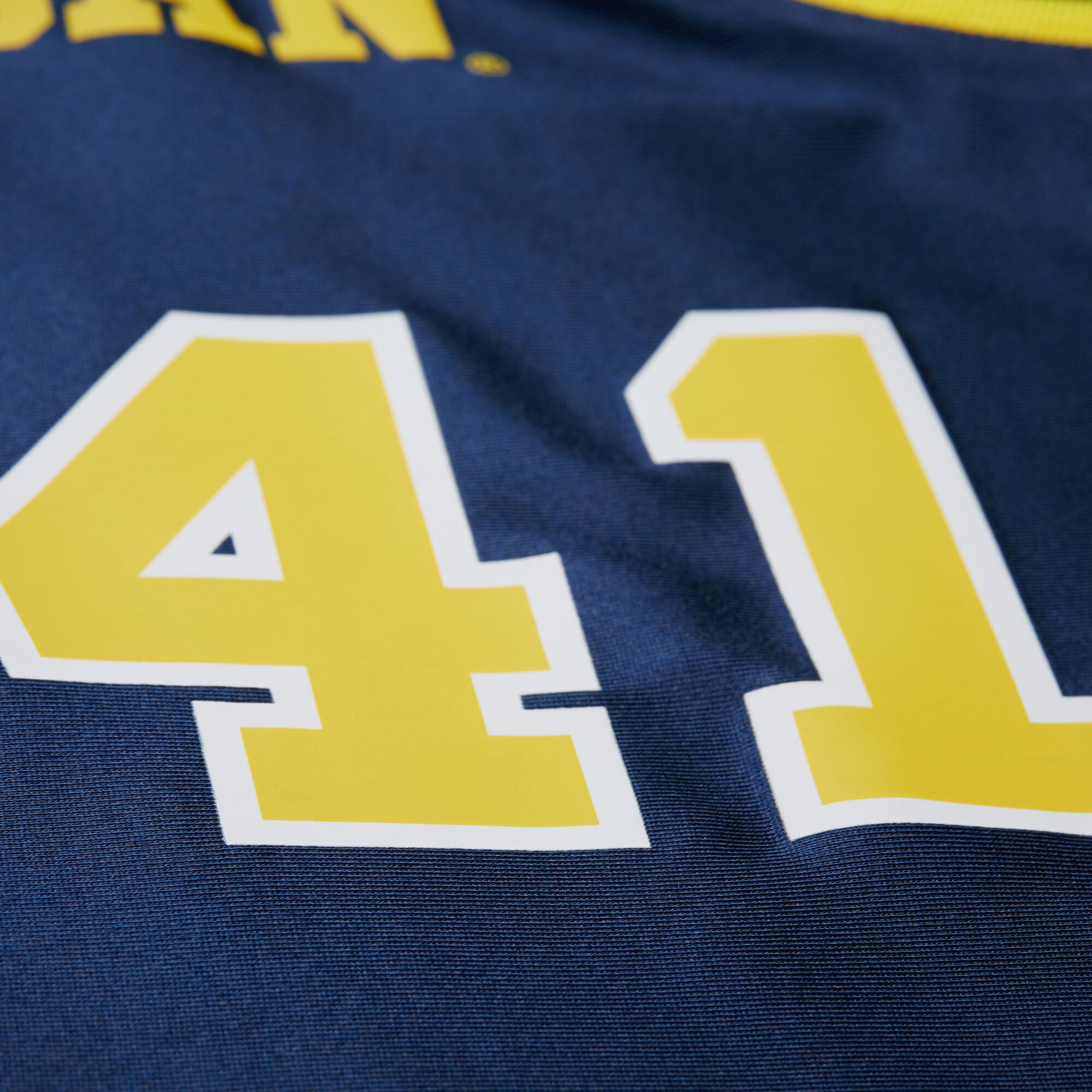 Glen Rice Michigan Wolverines 1988/89 Jersey Navy - detail view 1