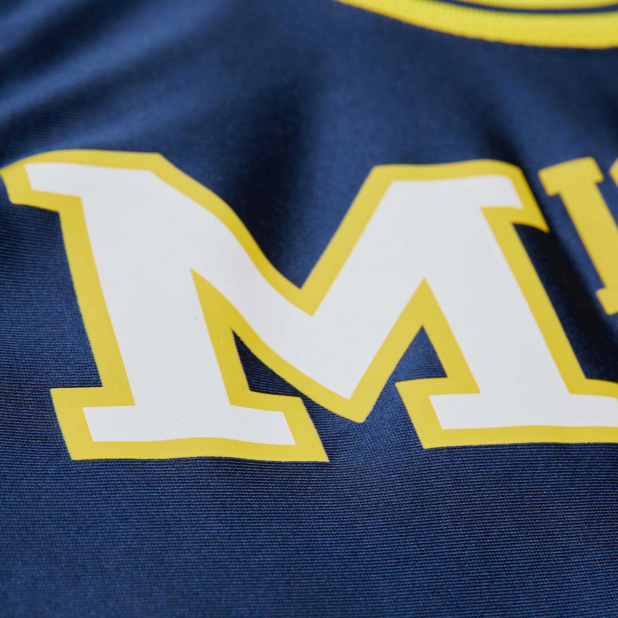Glen Rice Michigan Wolverines 1988/89 Jersey Navy - detail view 2