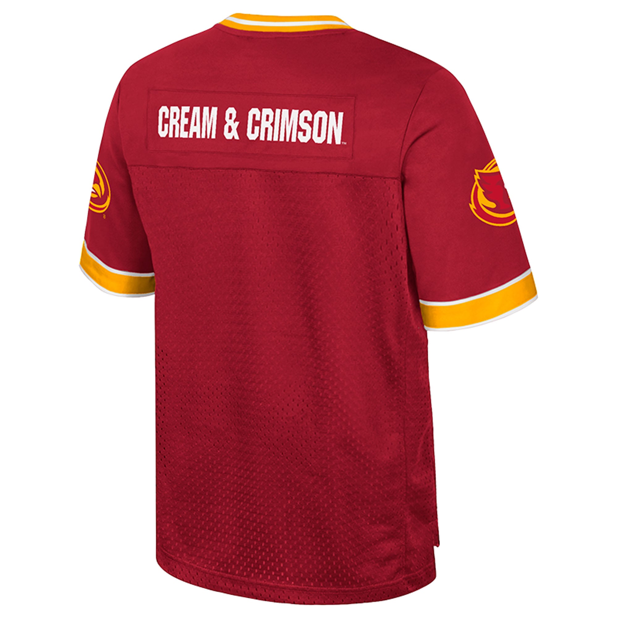 Iowa State Cyclones Nothing But The Hits Football Jersey Cardinal - back view
