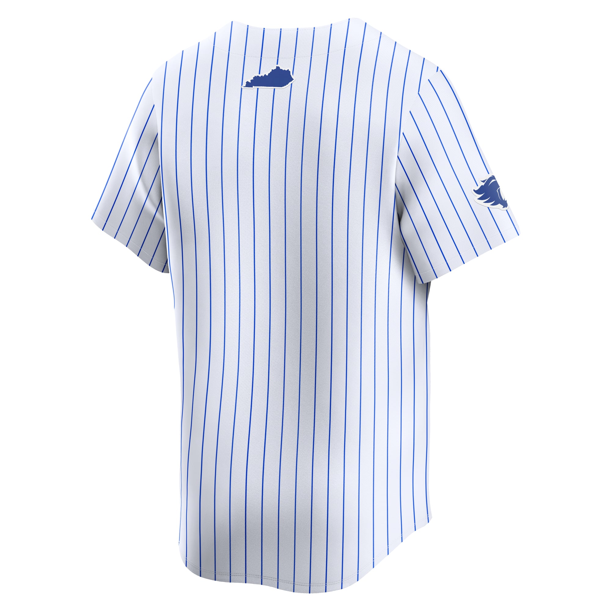 Kentucky Wildcats Baseball Jersey White - back view
