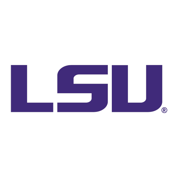 LSU Tigers college jerseys and fan gear