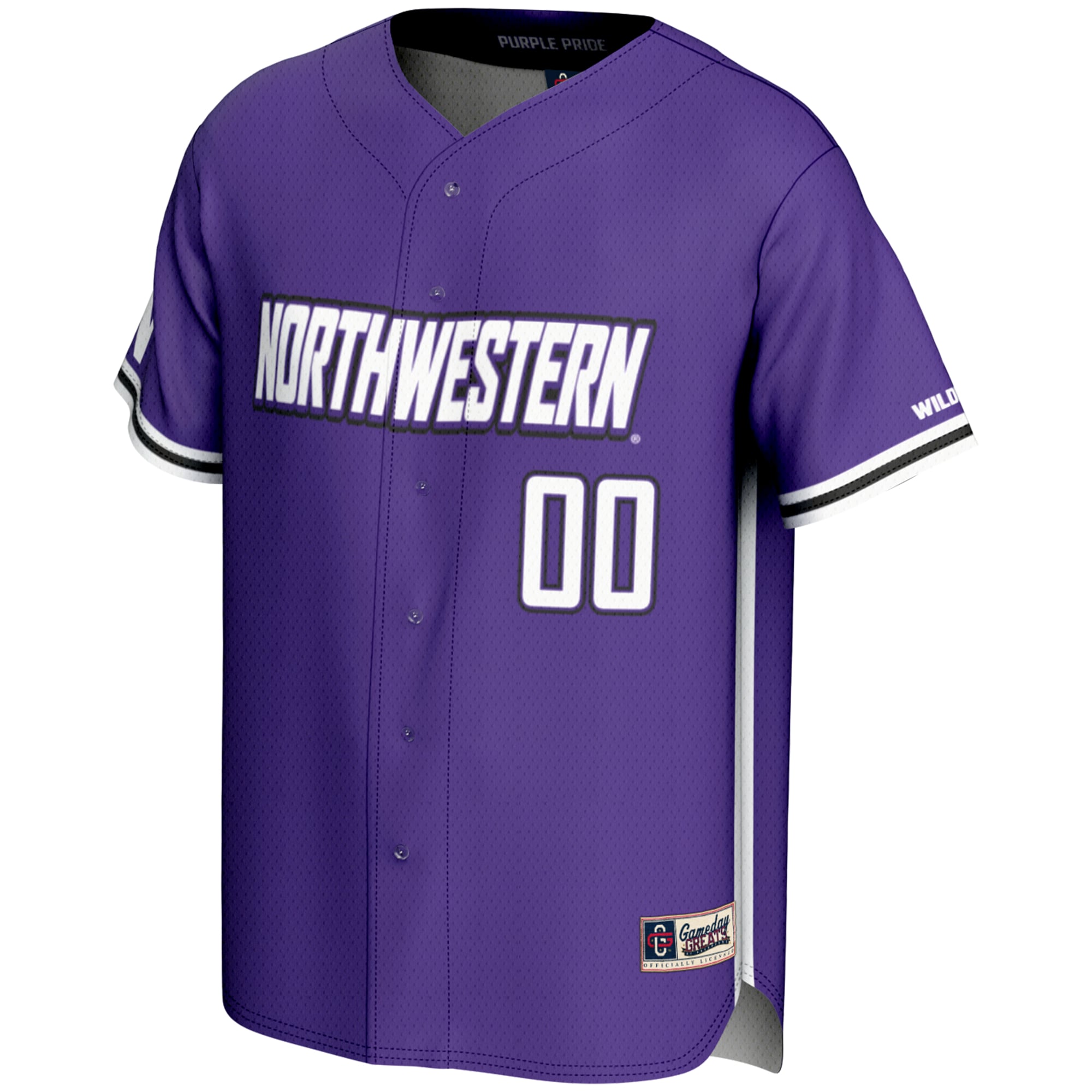Northwestern Wildcats Youth Lightweight Baseball Jersey Purple - front view