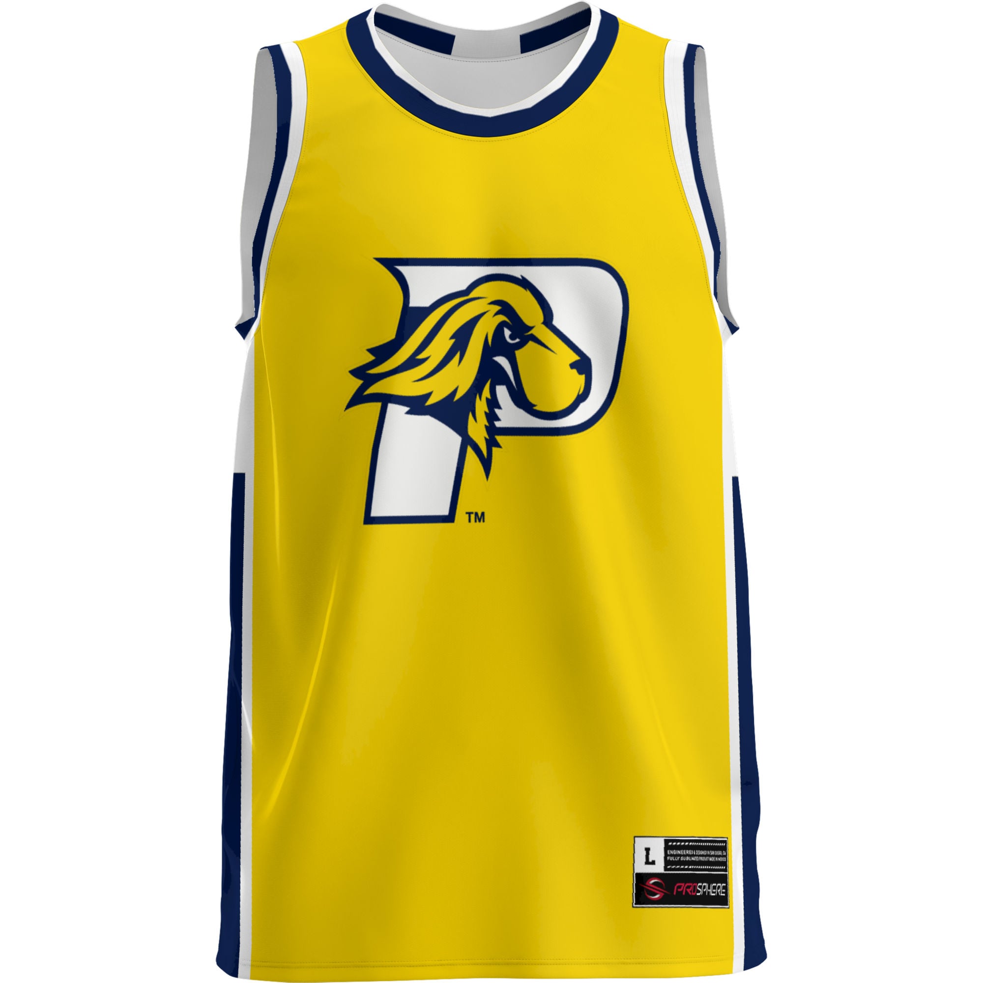 Pace University Setters Lightweight Basketball Jersey Blue - front view