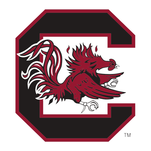 South Carolina Gamecocks college jerseys and fan gear