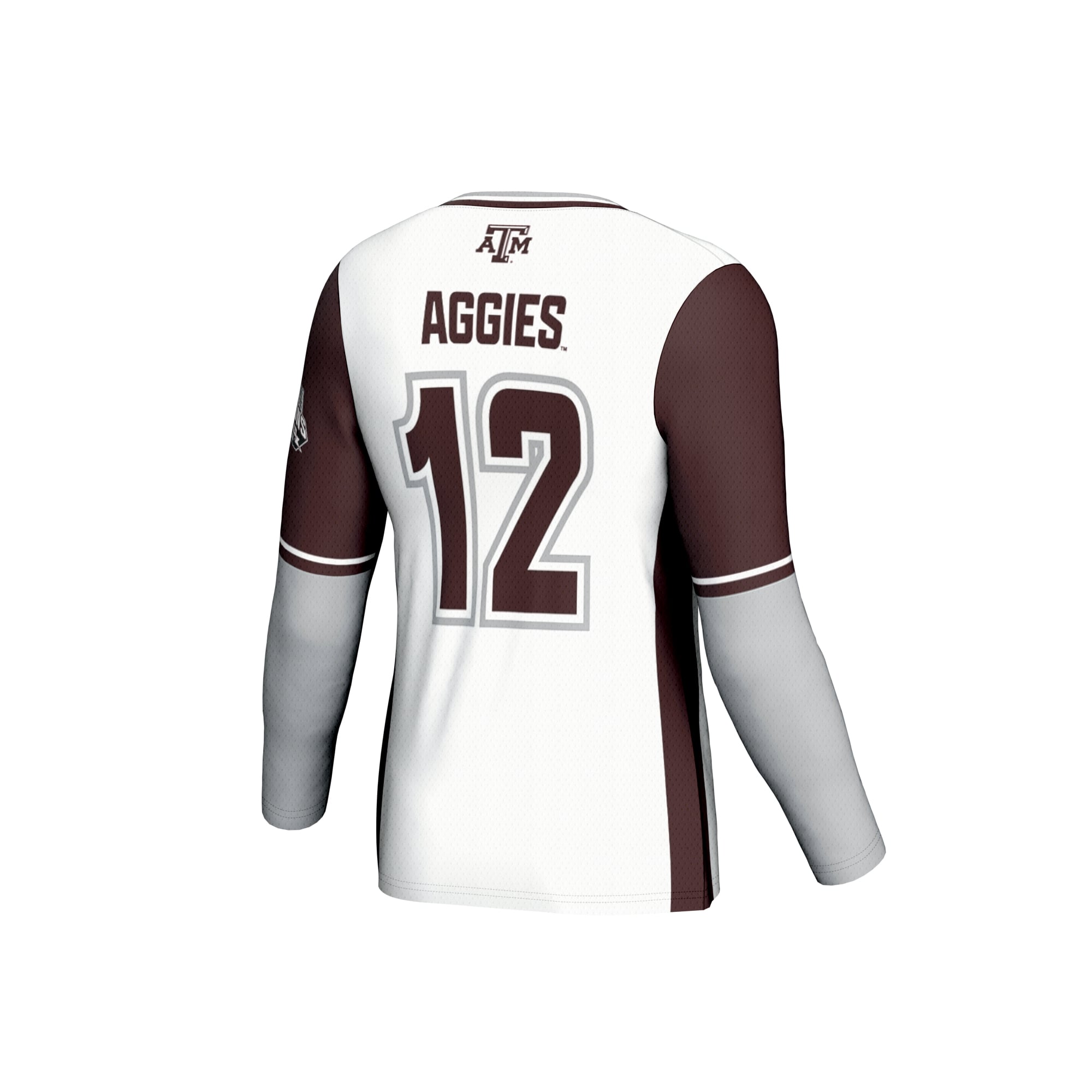 Texas A&M Aggies Unisex 2025 NCAA Volleyball National Champions Commemorative Fashion - back view