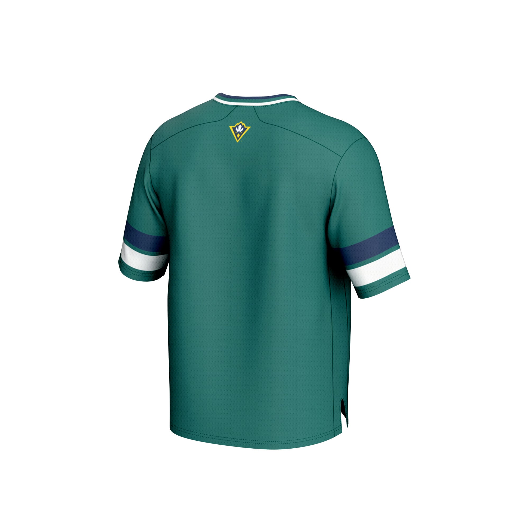 UNC Wilmington Seahawks Youth Football Jersey Teal - back view