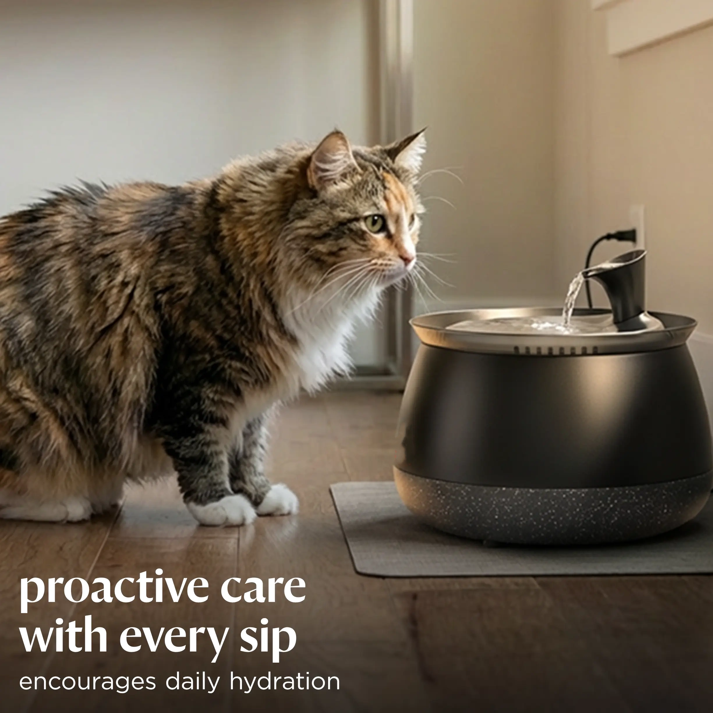 Cat Water Fountain – Filtered Fresh Water with Ultra-Quiet Wireless Pump