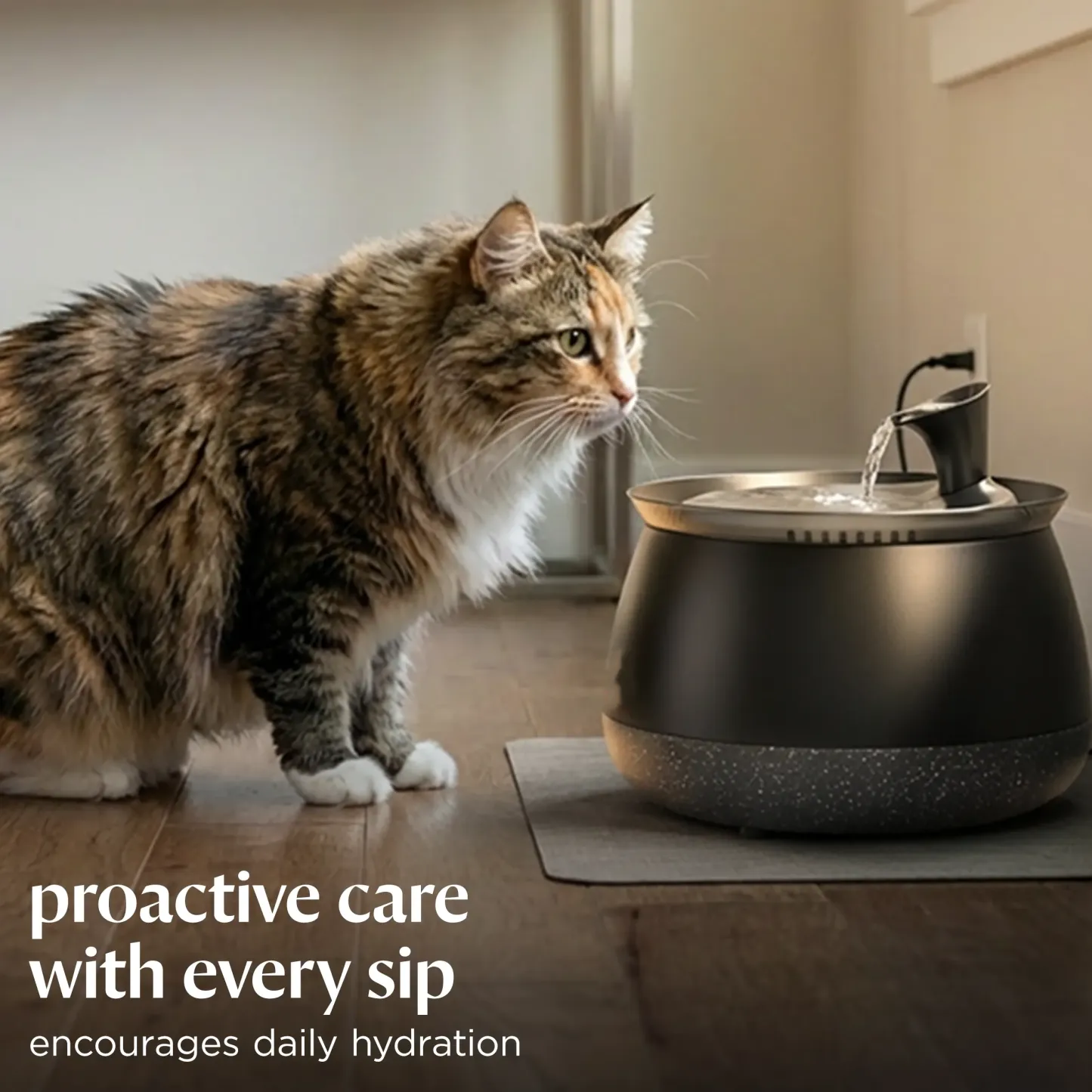 Cat Water Fountain – Filtered Fresh Water with Ultra-Quiet Wireless Pump