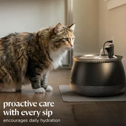 Cat Water Fountain – Filtered Fresh Water with Ultra-Quiet Wireless Pump