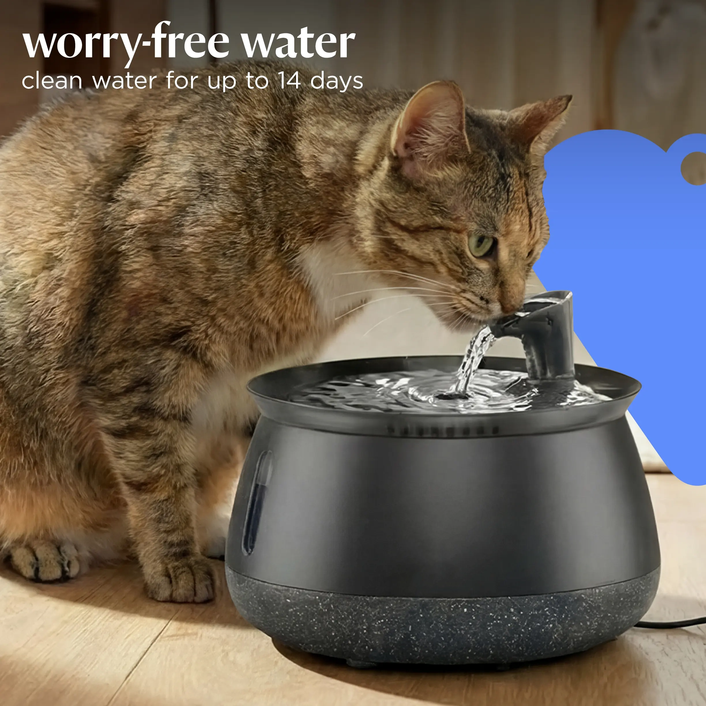 Cat Water Fountain – Filtered Fresh Water with Ultra-Quiet Wireless Pump