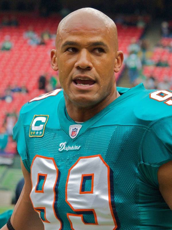 Portrait of Portrait of Jason Taylor