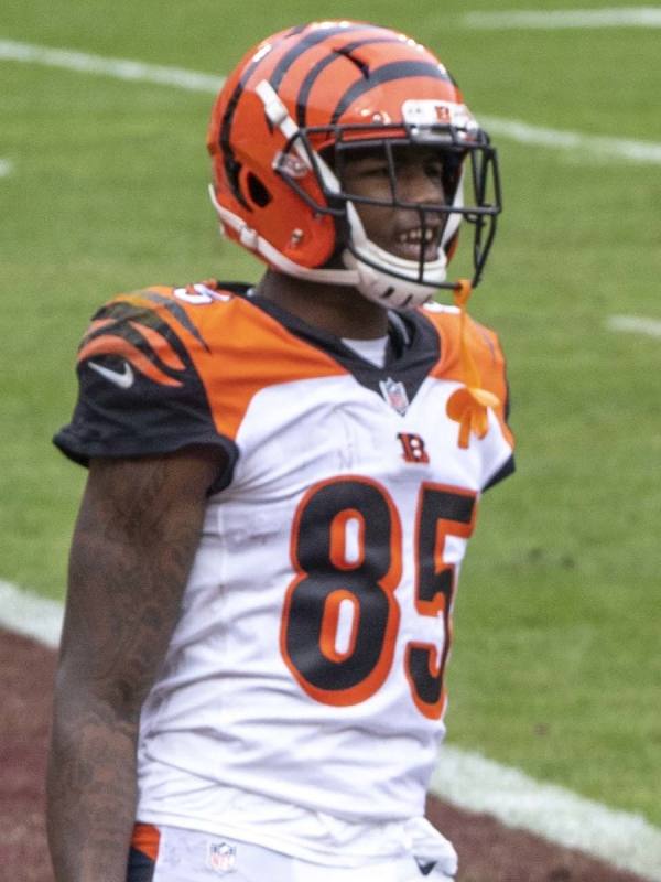 Portrait of Tee Higgins