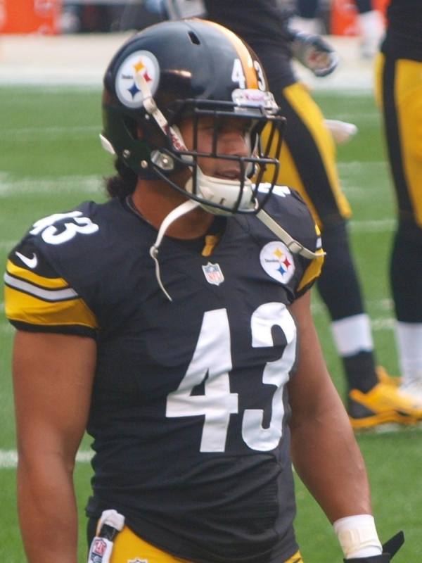 Portrait of Portrait of Troy Polamalu