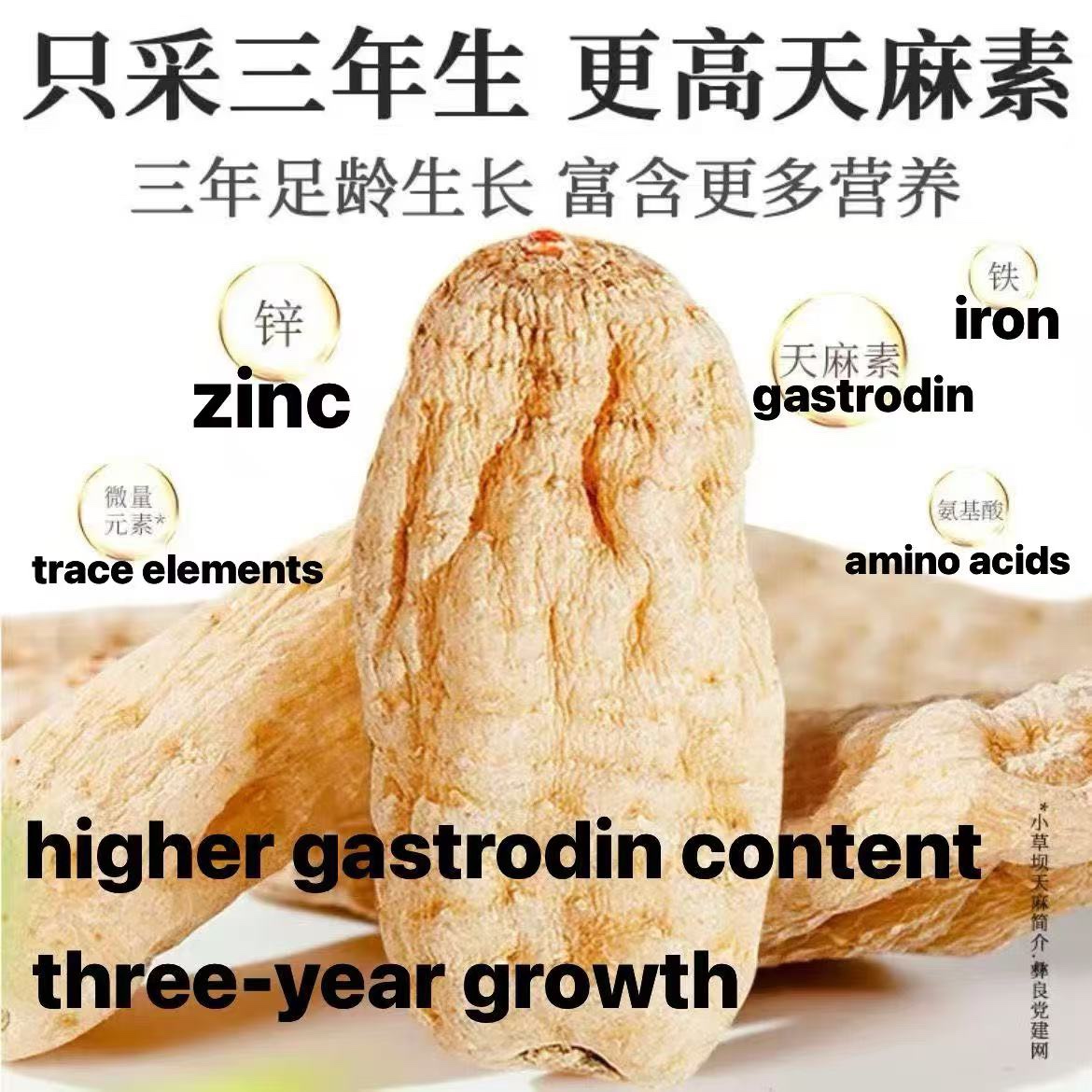 Wild‑Harvested Gastrodia Elata, 3‑Year‑Grown Authentic Tian Ma from Mountainous Zhaotong, Yunnan, China 野生天麻｜三年正宗中國雲南昭通大山天麻
