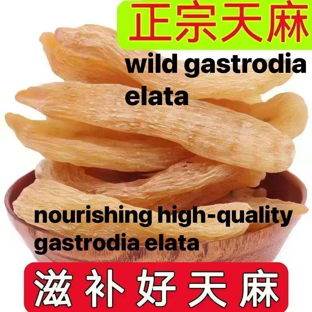 Wild‑Harvested Gastrodia Elata, 3‑Year‑Grown Authentic Tian Ma from Mountainous Zhaotong, Yunnan, China 野生天麻｜三年正宗中國雲南昭通大山天麻