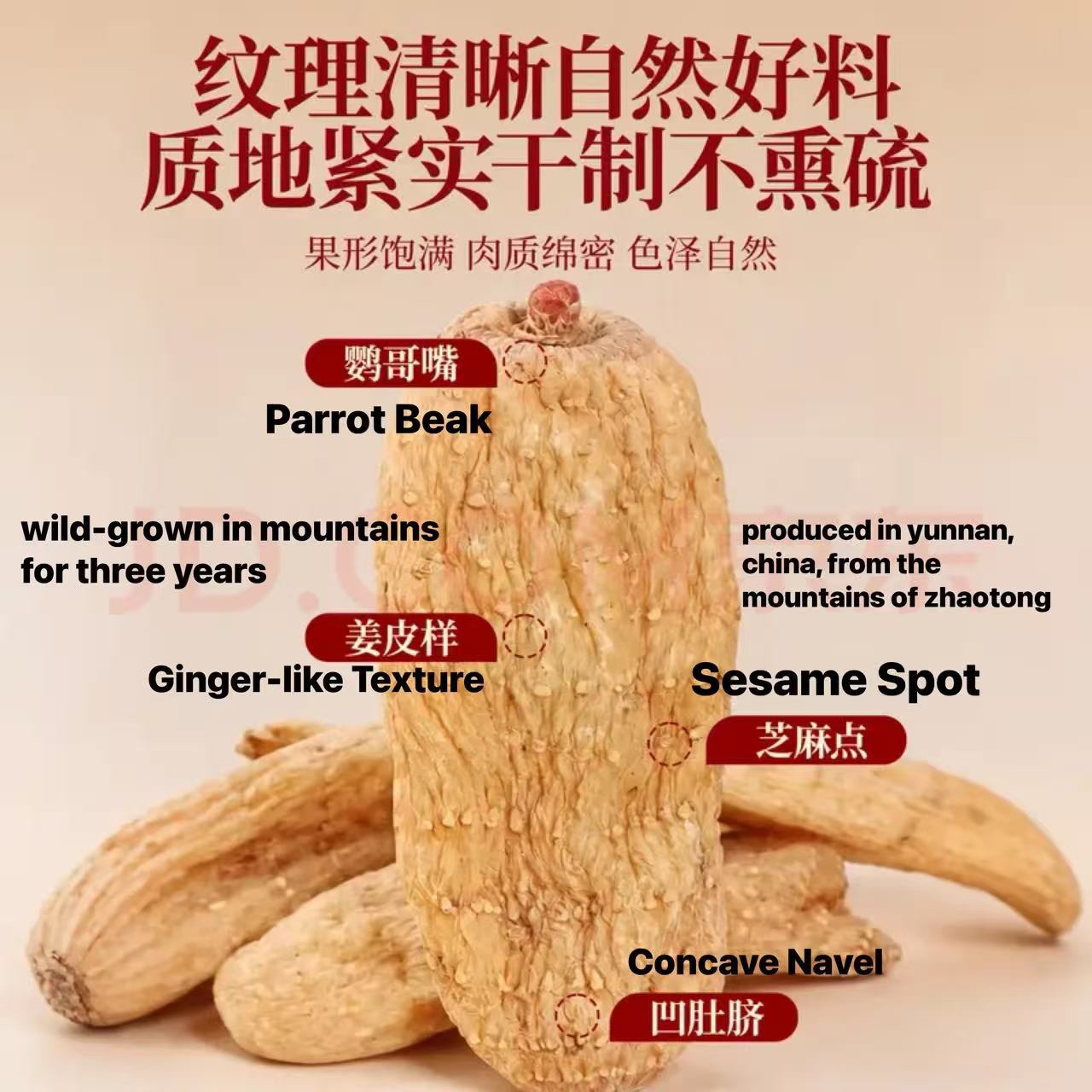 Wild‑Harvested Gastrodia Elata, 3‑Year‑Grown Authentic Tian Ma from Mountainous Zhaotong, Yunnan, China 野生天麻｜三年正宗中國雲南昭通大山天麻