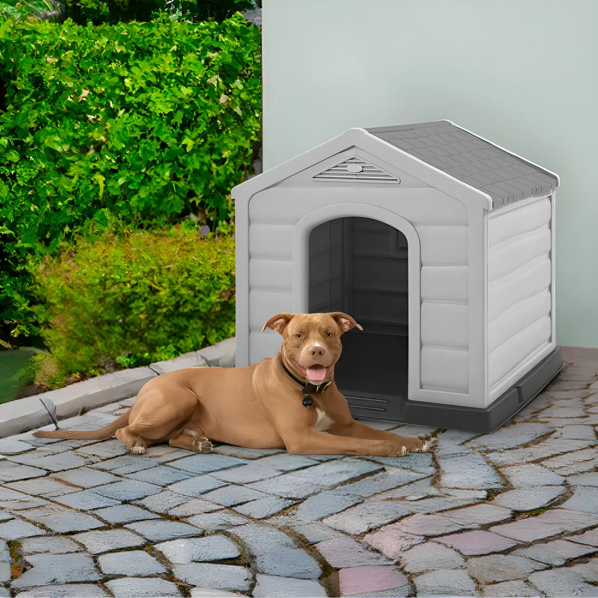 Casa Hogar Ideal Perro Raza Mediana Grande Confortable Rimax Color Gris Oscuro