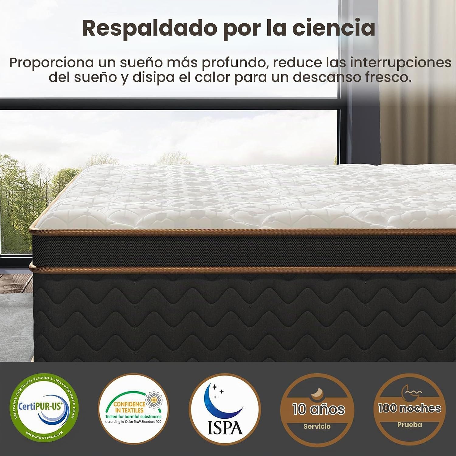 Colchón Queen Size de 10 pulgadas, colchón híbrido en caja con espuma viscoelástica y muelles ensacados individuales (firmeza media), colchón sin fibra de vidrio (Queen)