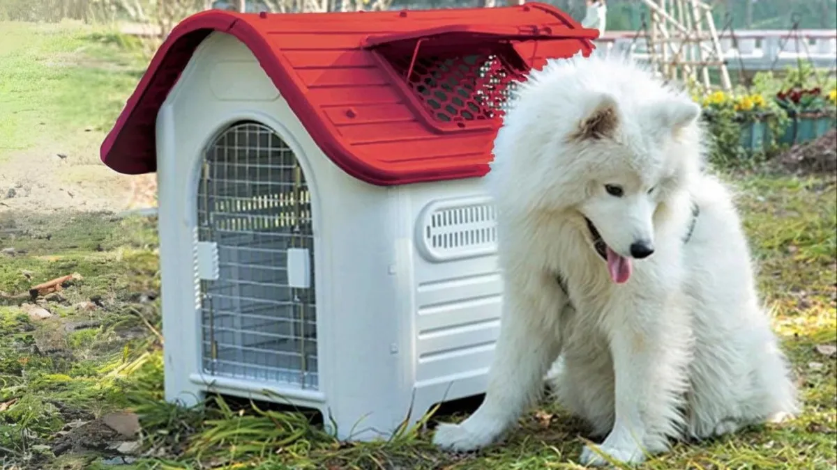 Casa Para Perro Razas Grandes Con Puerta Térmica Mascoamigo