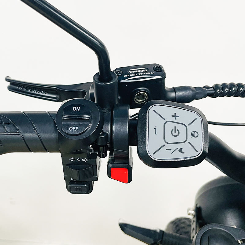 Bicicleta Elétrica de Montanha Ridstar Q20 Pro com Pneu Gordo e Motor Duplo 20 Polegadas E-Bike 52V 40AH Bateria Dupla para Adultos