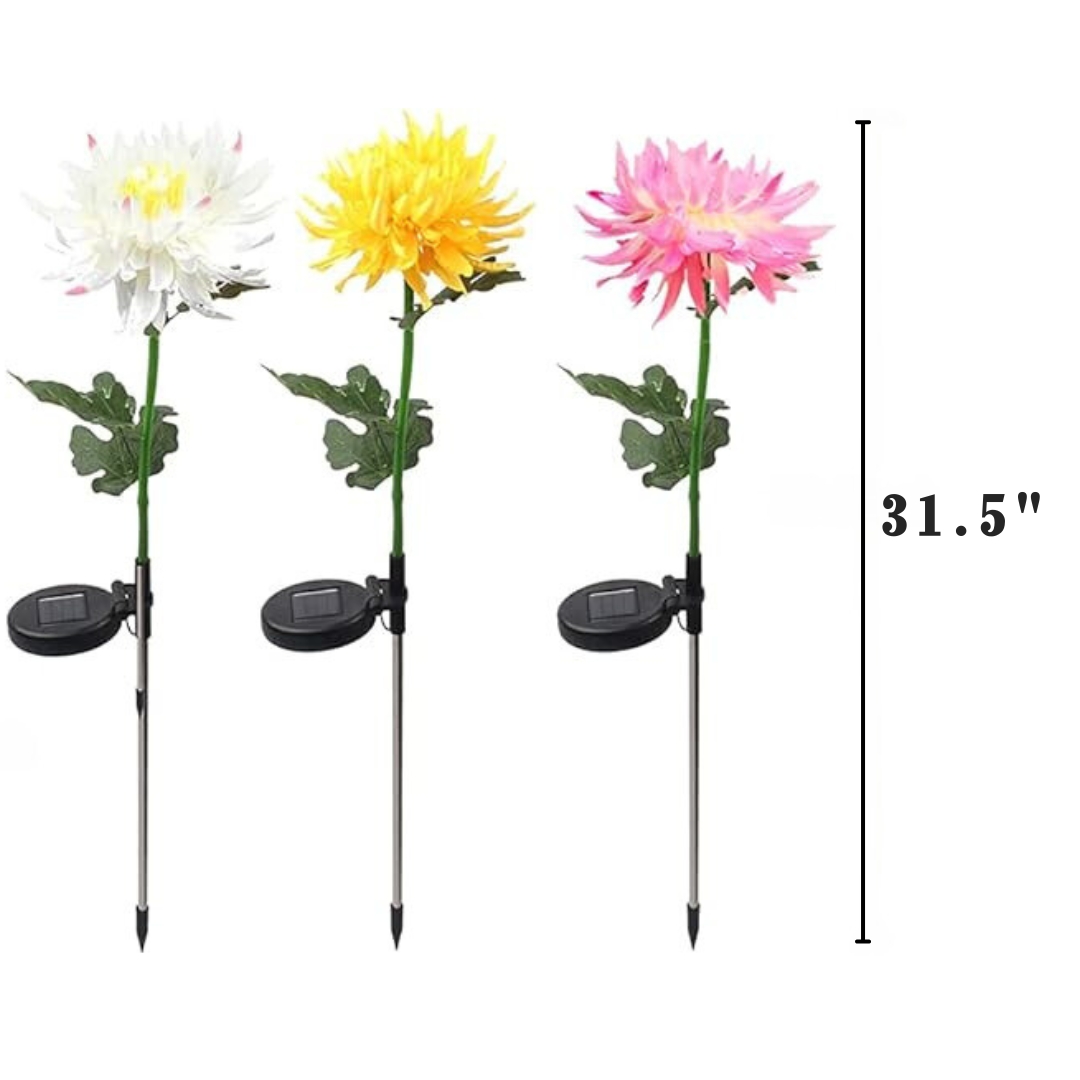 31.5" Chrysanthemum Solar Garden Stake LED