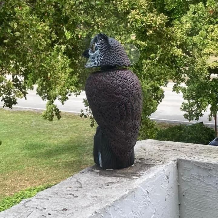 Owl Garden Decoration|Owl Decoys to Scare Birds Squirrels Away