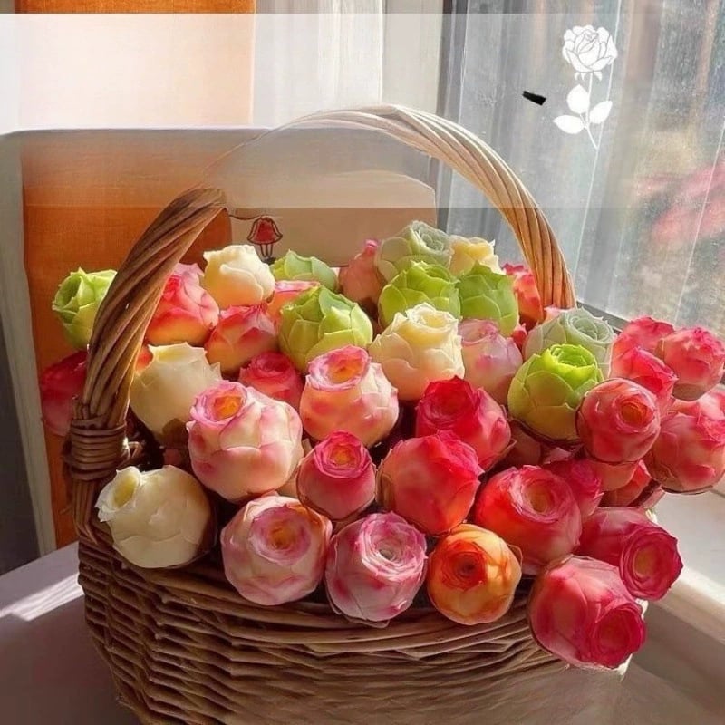 🌱🌹Планинска роза: Красота, която никога не увяхва, дори за начинаещи в света на острието!🌺