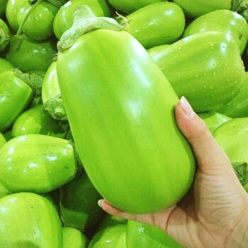 🍆 Семена от зеленчуков патладжан Нубия - раиран патладжан