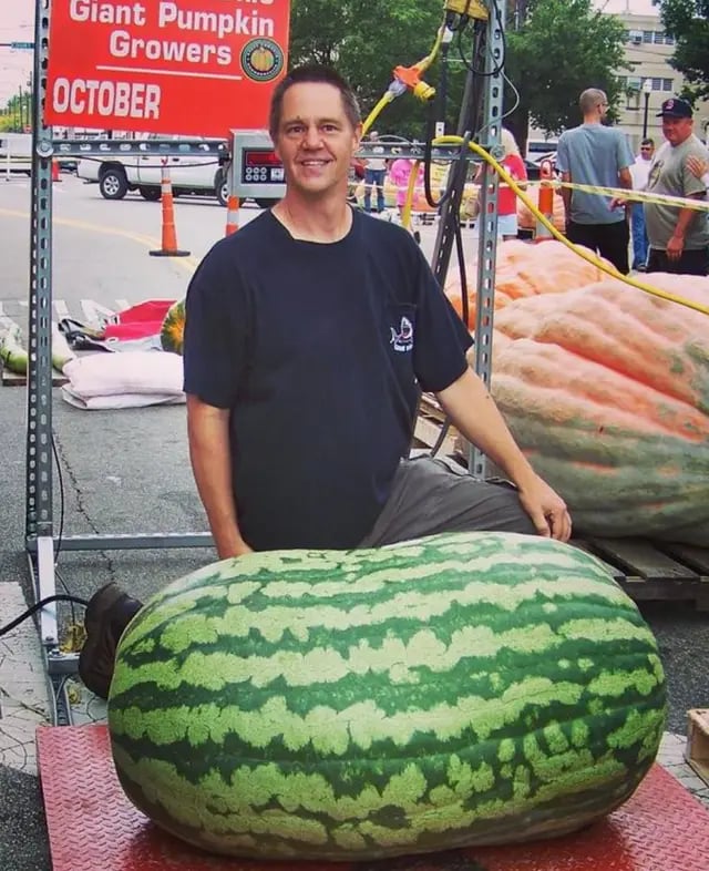🔥Последен ден на разпродажбата🍉Семки от диня от Lazy Man🍉