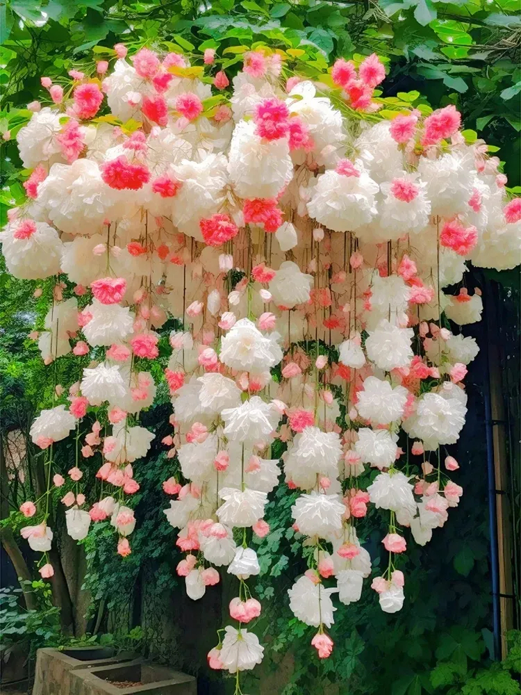 🌸 Семена от бегония — лесни за отглеждане и поддръжка, декоративни през всички сезони. Придайте блясък на вашата градина.