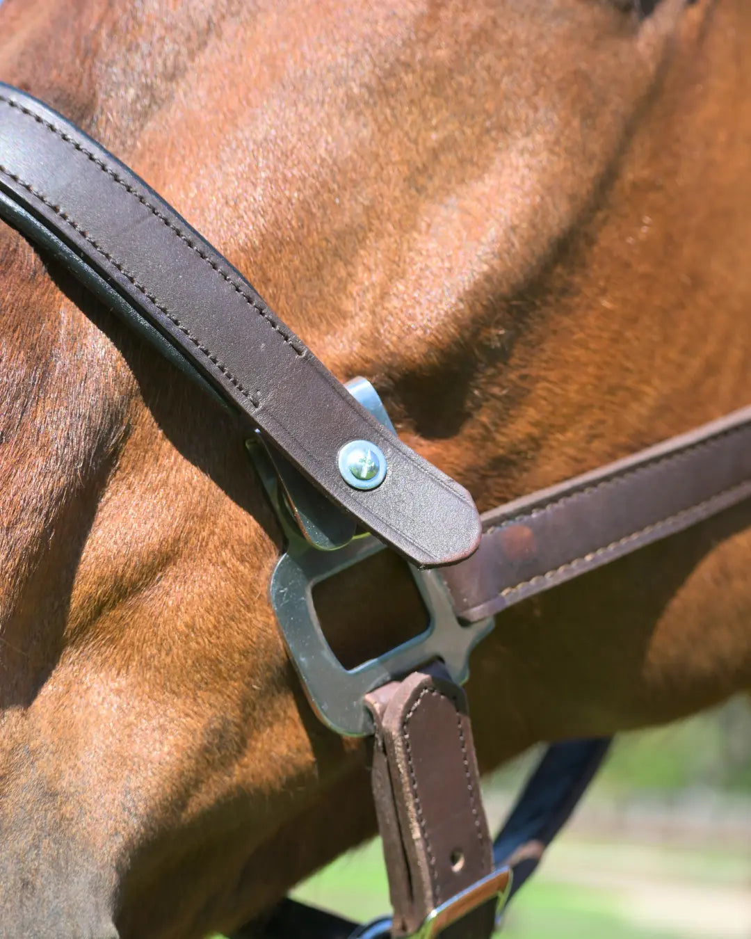  Fleece Noseband and Leather Breakaway