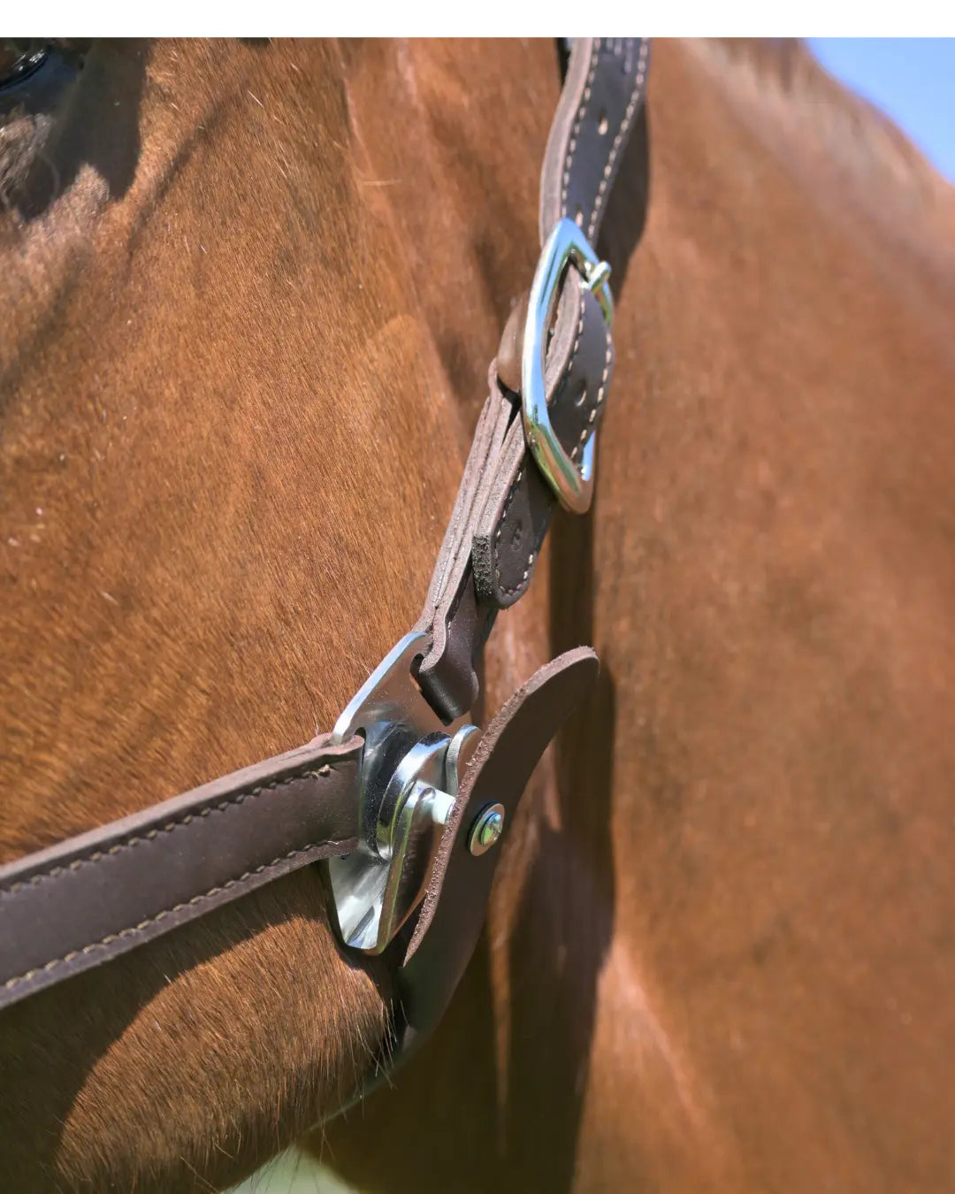  Fleece Noseband and Leather Breakaway