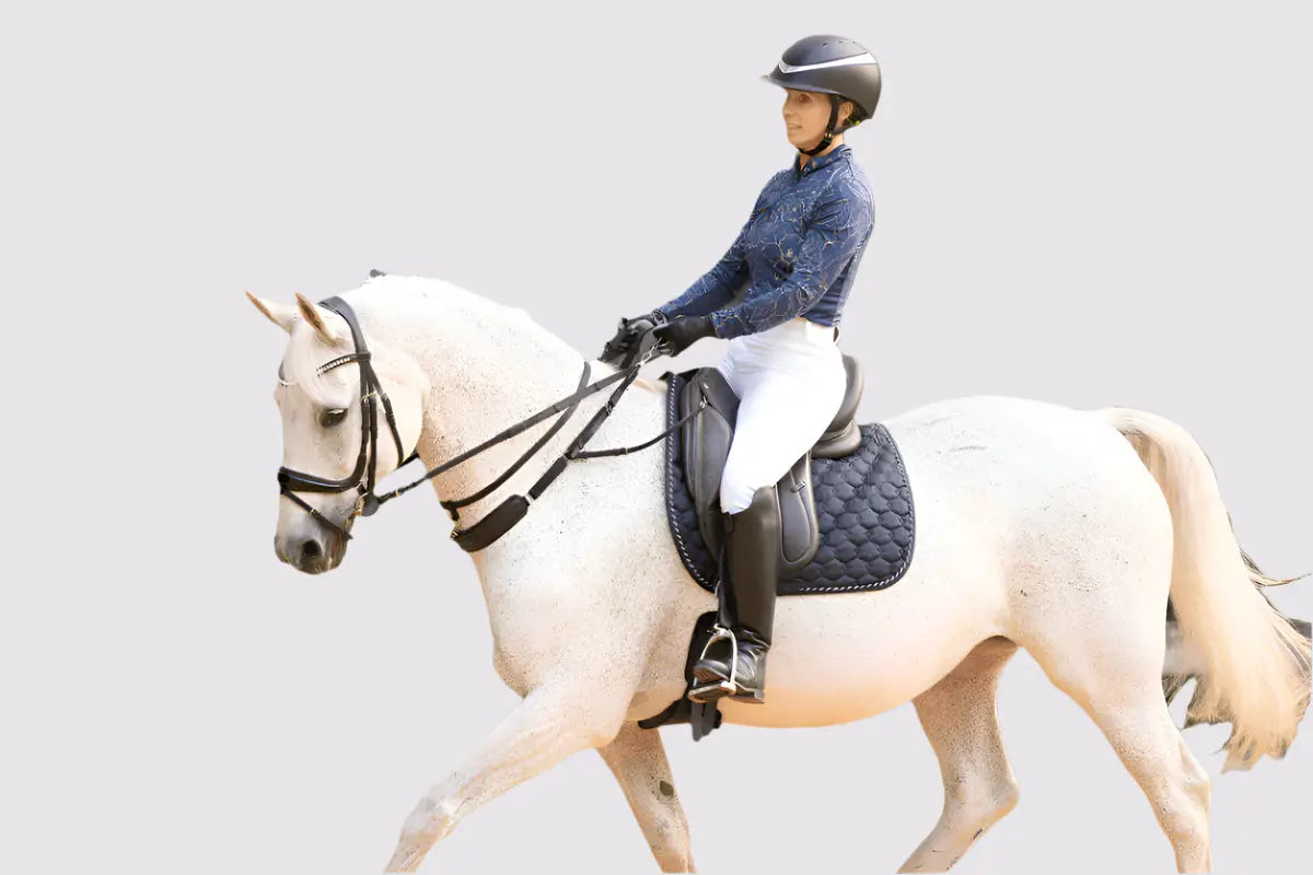 3-in-1 Training Breastplate