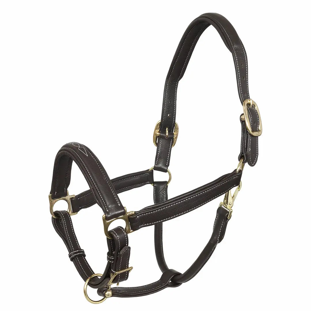 Fancy-stitched non-slip leather bridle with brass fittings