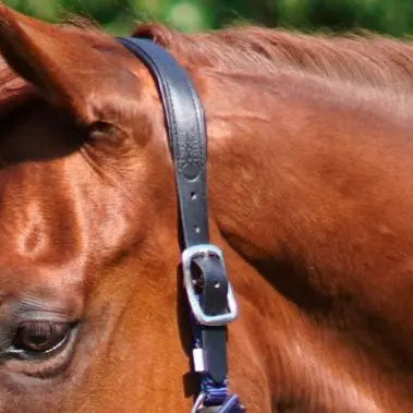  Fleece Noseband and Leather Breakaway