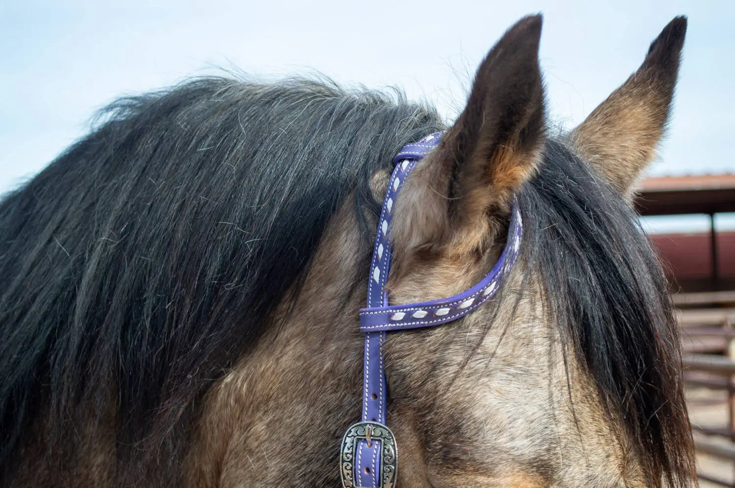 Purple Tack Set