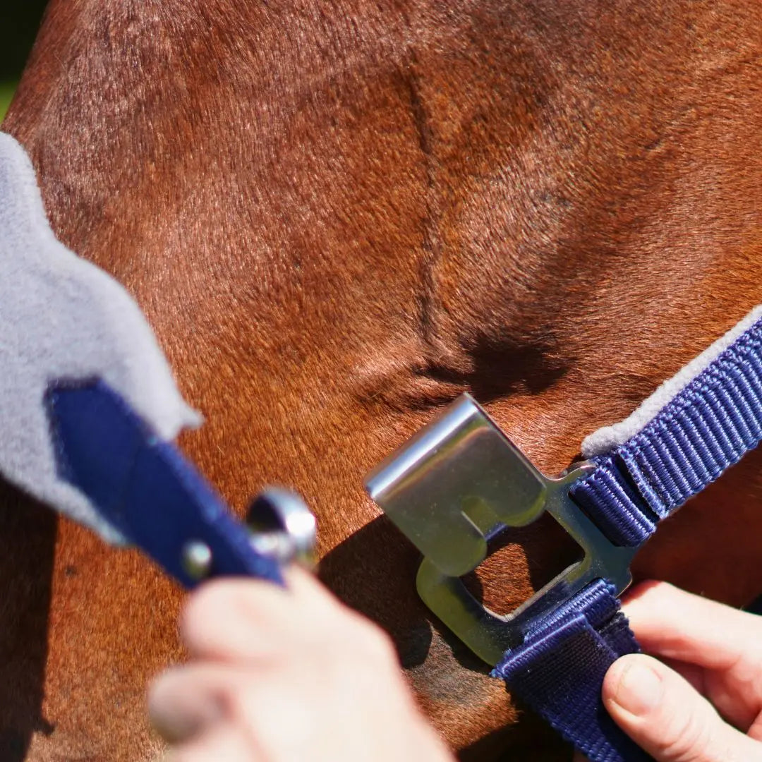  Fleece Noseband and Leather Breakaway